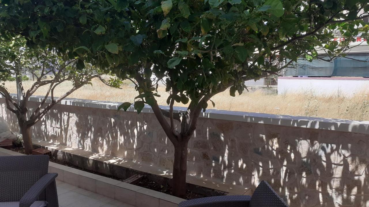 Iliana.apartments